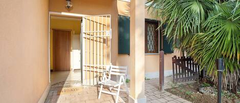 A paved patio with a white bench, a gate, and a palm tree.