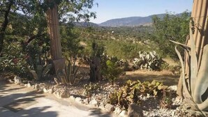 A garden with various plants and a pathway leading to a view of distant mountains. - Loma Negra Rural House, with fireplace, swimming pool and barbecue (Dúrcal)