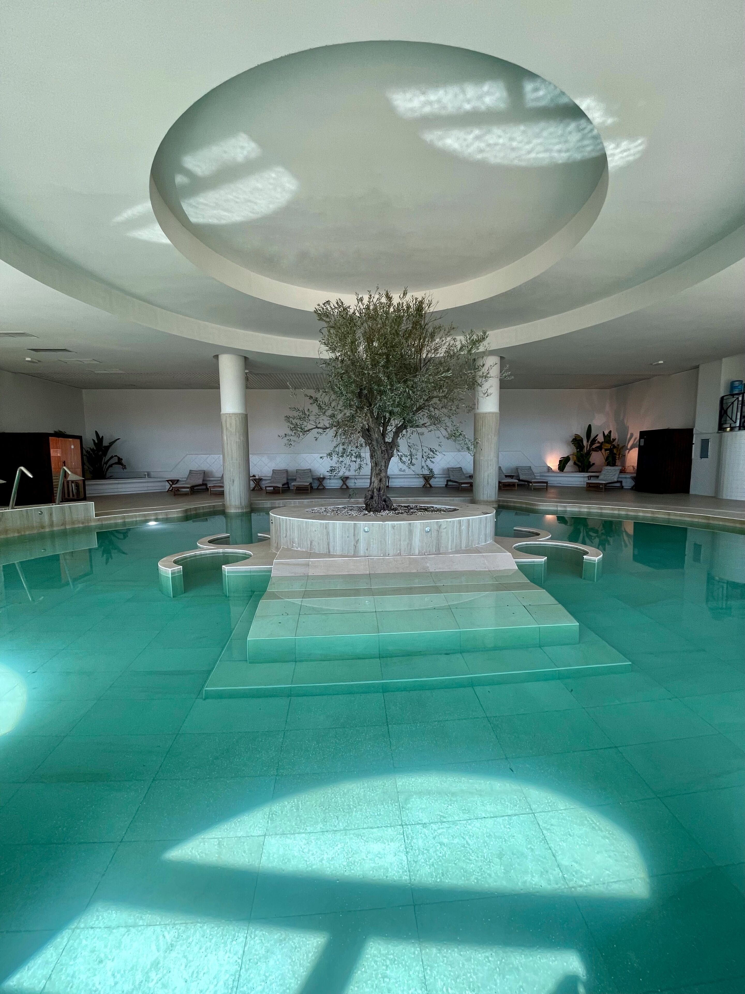 Una amplia piscina interior con un árbol en el centro, rodeada de sillones de descanso y un techo de diseño moderno.