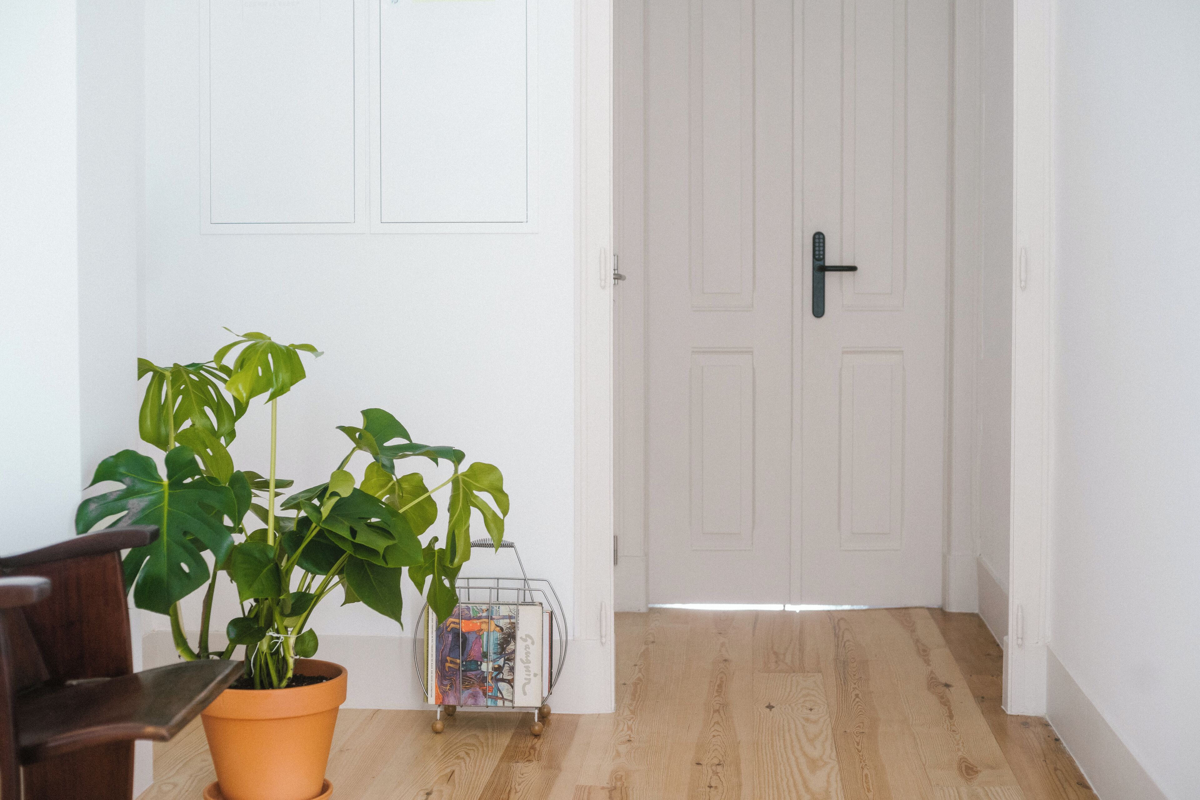 Un couloir avec un plancher en bois, une plante en pot, un chariot en métal sur lequel se trouve un objet coloré, et une porte blanche avec une poignée noire.