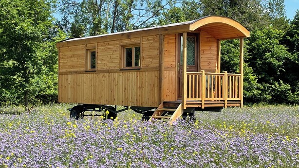 A wooden cabin with a covered porch, windows, and a door, situated in a field of wildflowers.