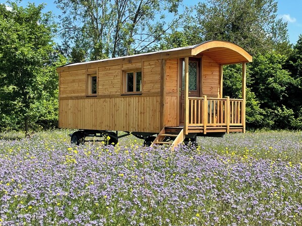 Exterior - SEVENTIES CARAVAN (La Vespière-Friardel)