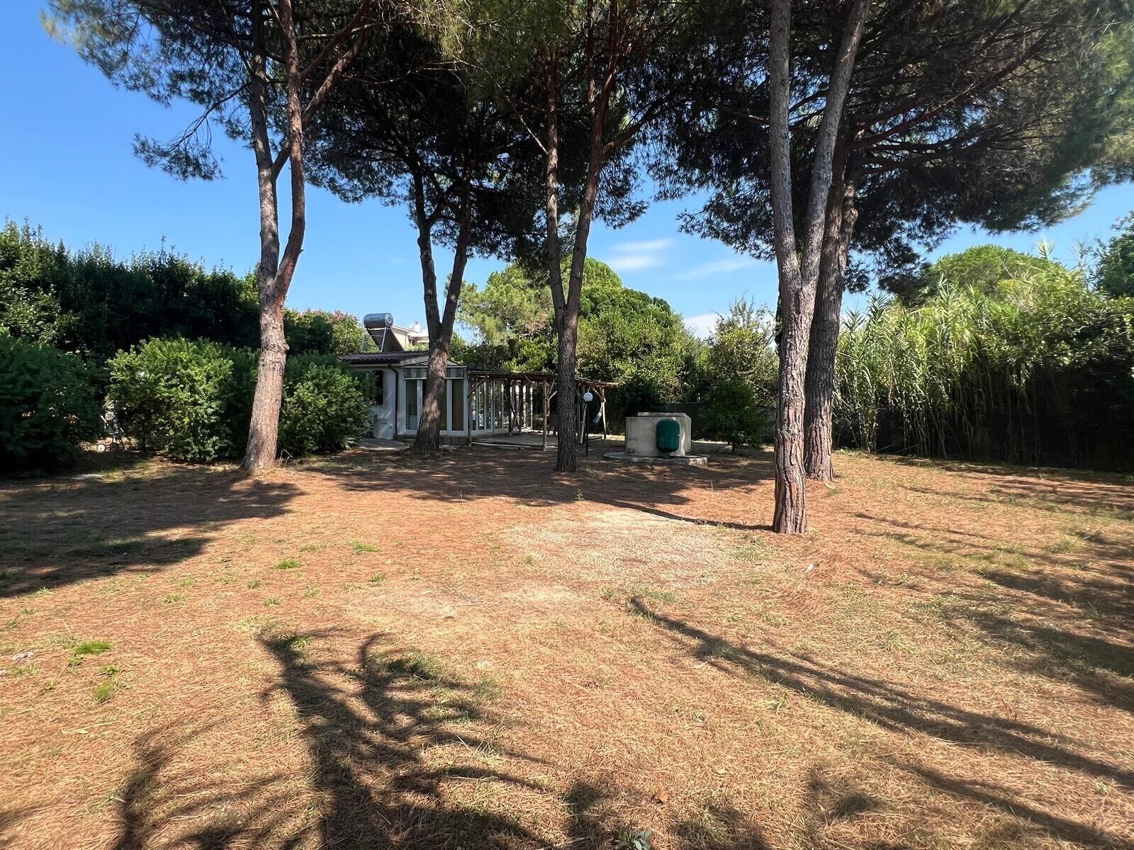 Parco della struttura