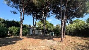 Un giardino con una casa, alberi e una piccola costruzione.