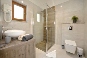 Shower, hair dryer, bidet, towels