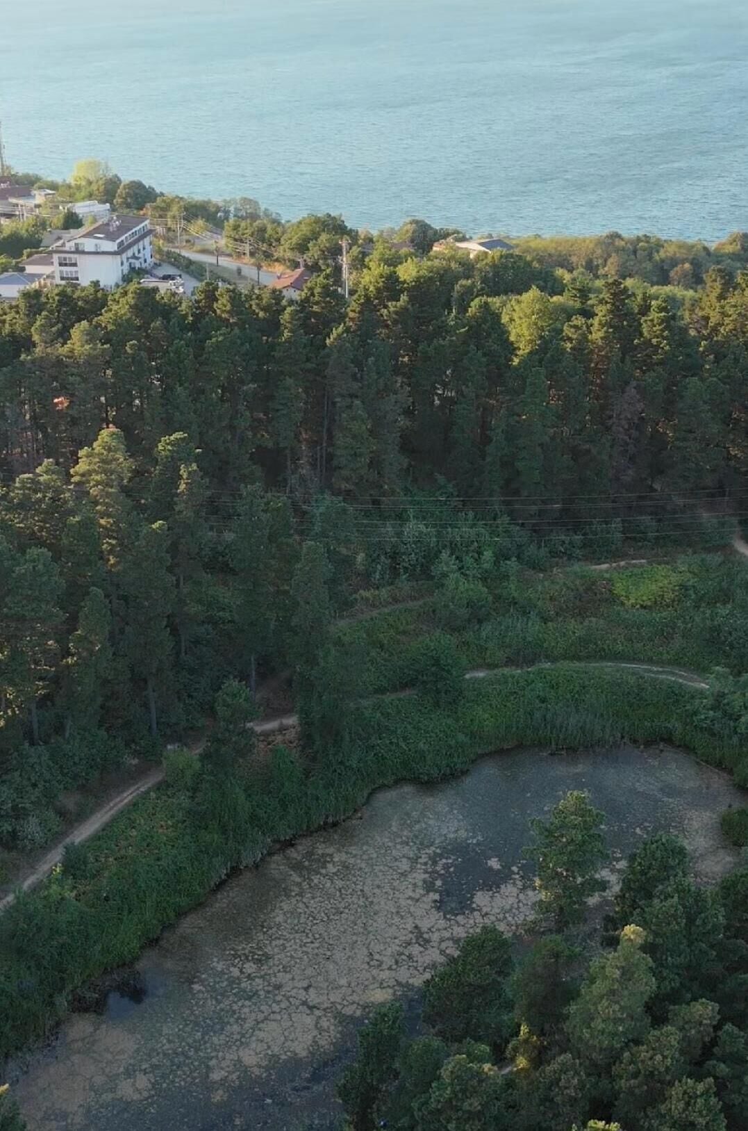 Luchtbeeld van een bebost gebied met een rivier, een klein gebouw en een wateroppervlak in de verte.