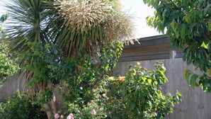 Un giardino con diverse piante, tra cui una palma, rose e altra vegetazione.