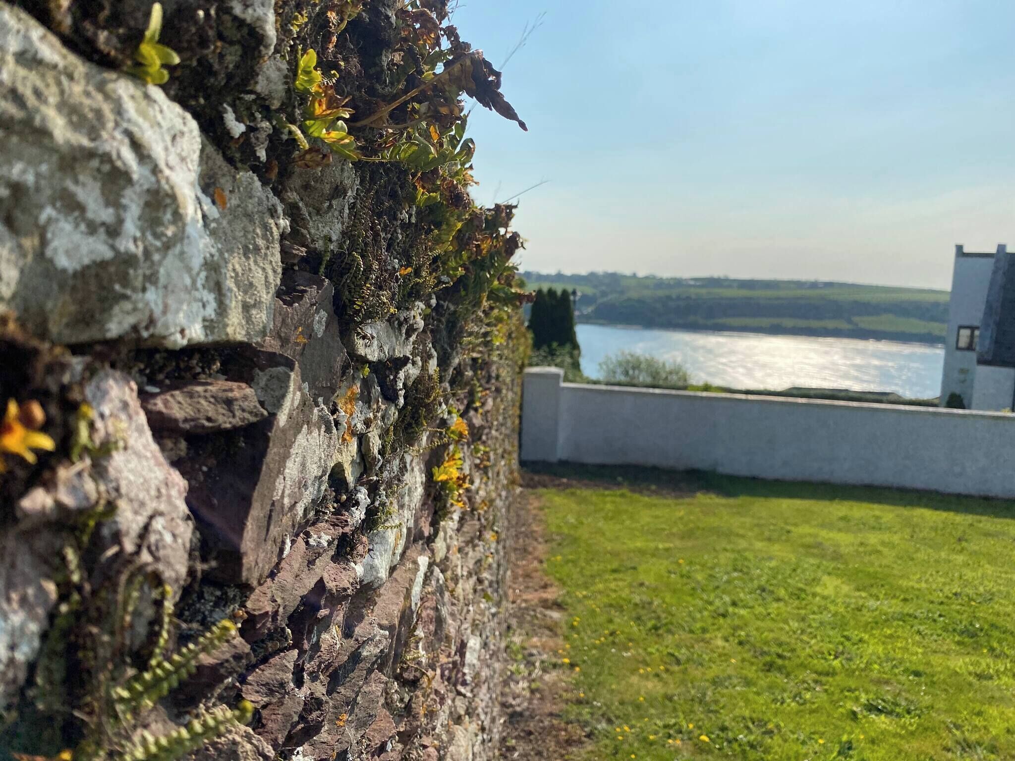 Biệt thự, 3 phòng ngủ, phù hợp cho người khuyết tật, ban công | Khuôn viên nơi lưu trú