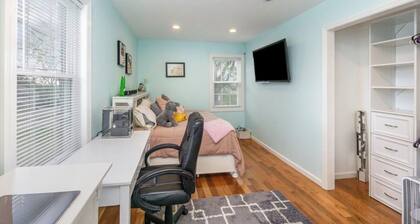 Bourbon Horses Serenity 3-2 Home Pets OK in The OLE KY HOME