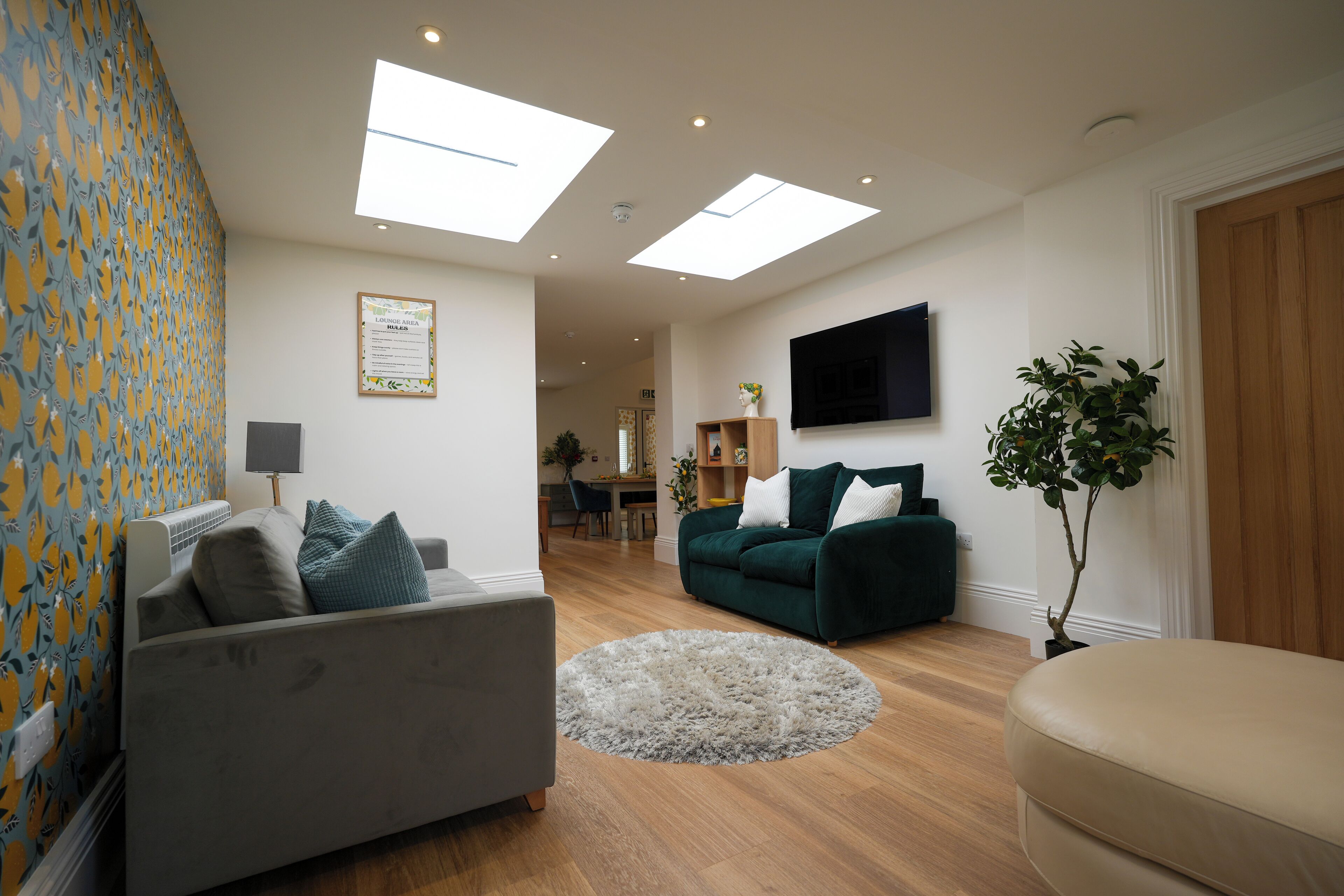 A living room with a grey sofa, a green sofa, a round rug, and a potted plant.