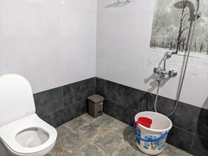 Shower, bidet, towels, soap