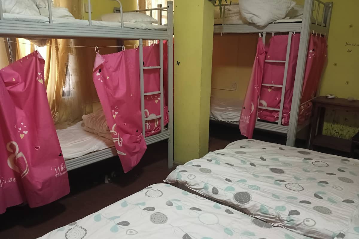 Basic Shared Dormitory | Free WiFi