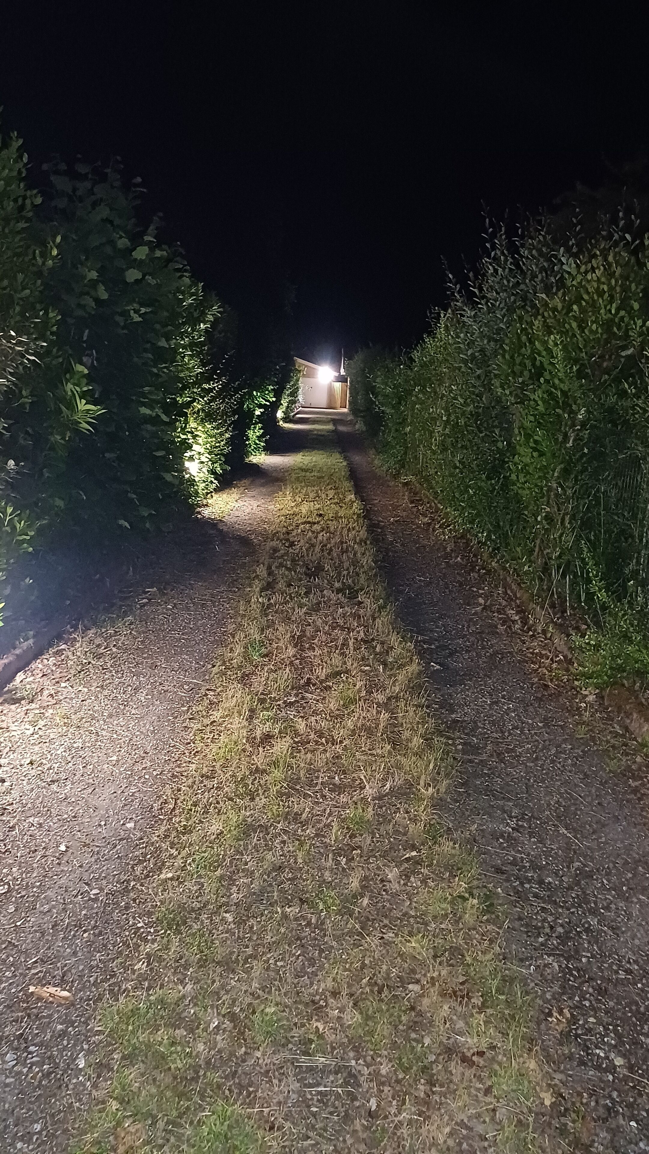 A nighttime pathway leading to a building with a bright light at the end.