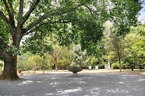 A tranquil park with a large tree, a stone basin, and a statue.