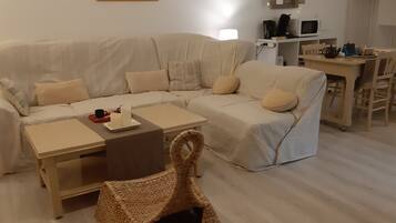 TV, DVD player, ping pong, stereo