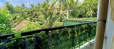 المنطقة المحيطة بالمنشأة