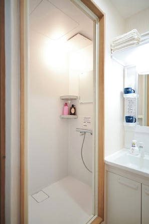 Shower, hair dryer, bidet, towels