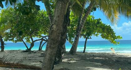 9-bedroom 18 th century plantation house with yoga ,
Riding , a paradise retreat