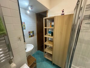 Shower, hair dryer, bidet, towels