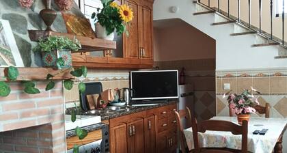 Grandfather's house