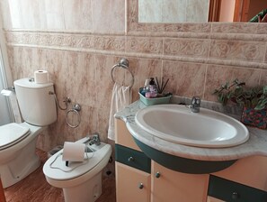 Ducha, secador de pelo, bidé y toallas