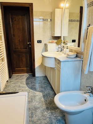 Shower, hair dryer, bidet, towels