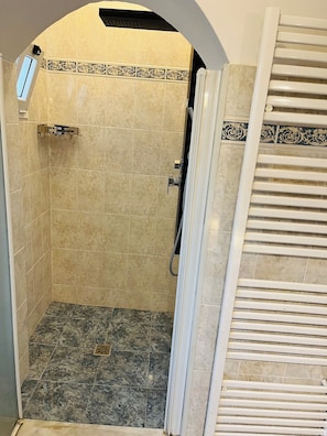 Shower, hair dryer, bidet, towels