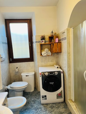 Shower, hair dryer, bidet, towels