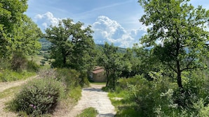 Un camino rural que lleva a una edificación de piedra rodeada de abundante vegetación y árboles.