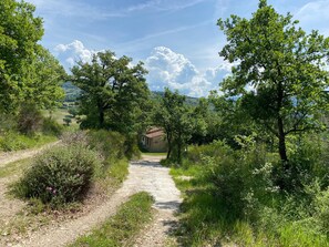Property grounds - Casale Castro - Serrina Apartment (Umbria)