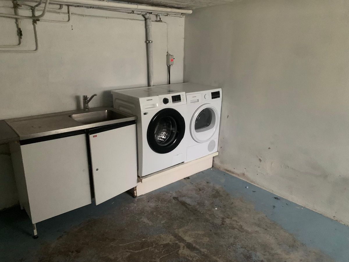 Un espace buanderie compact comprenant un lave-linge et un évier.
