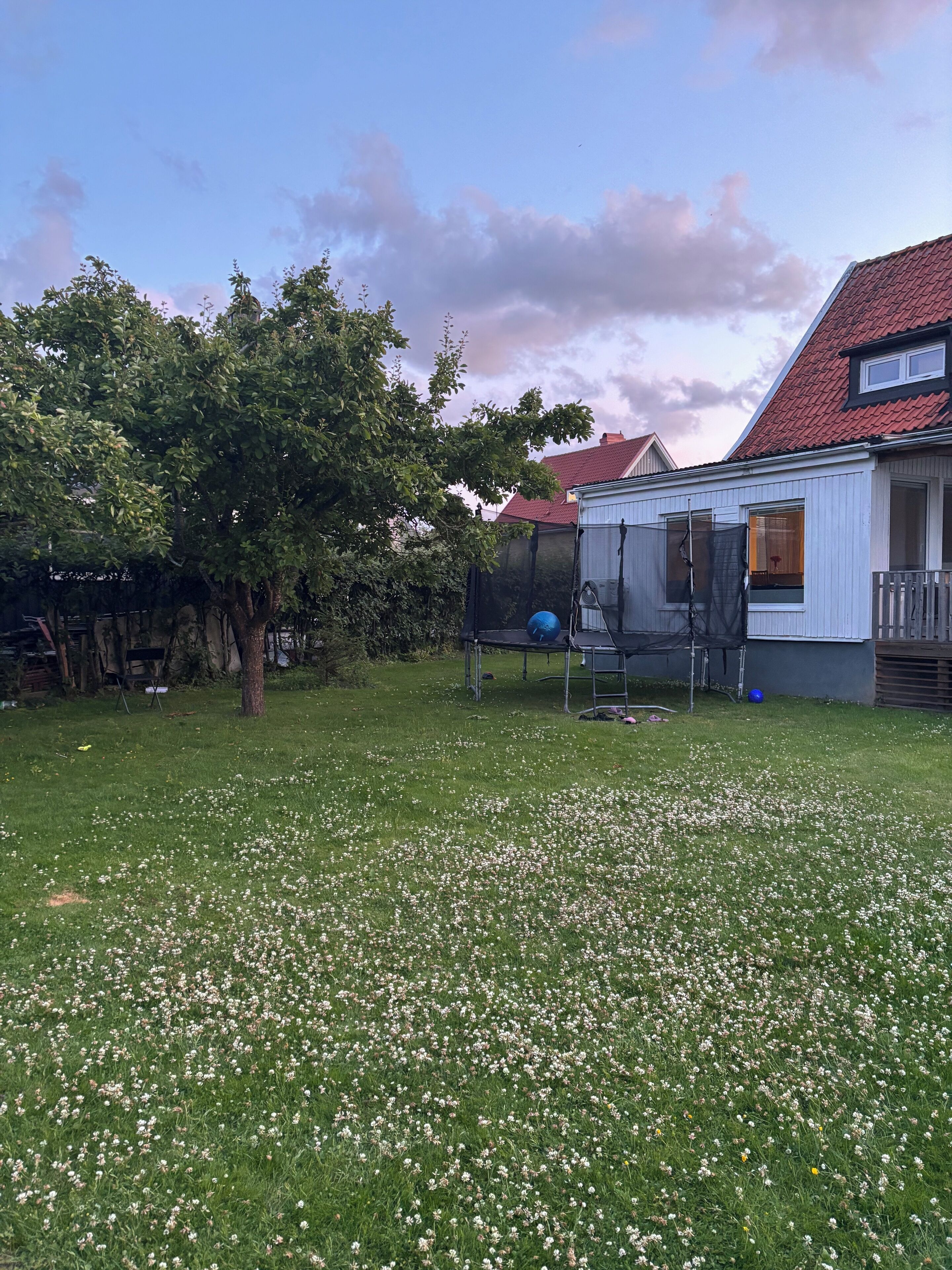 A residential backyard with a lawn, a tree, a trampoline, and a house with a red roof.