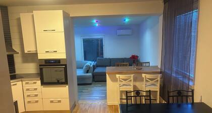 Charming 4-bedroom house with AC in Skåne län