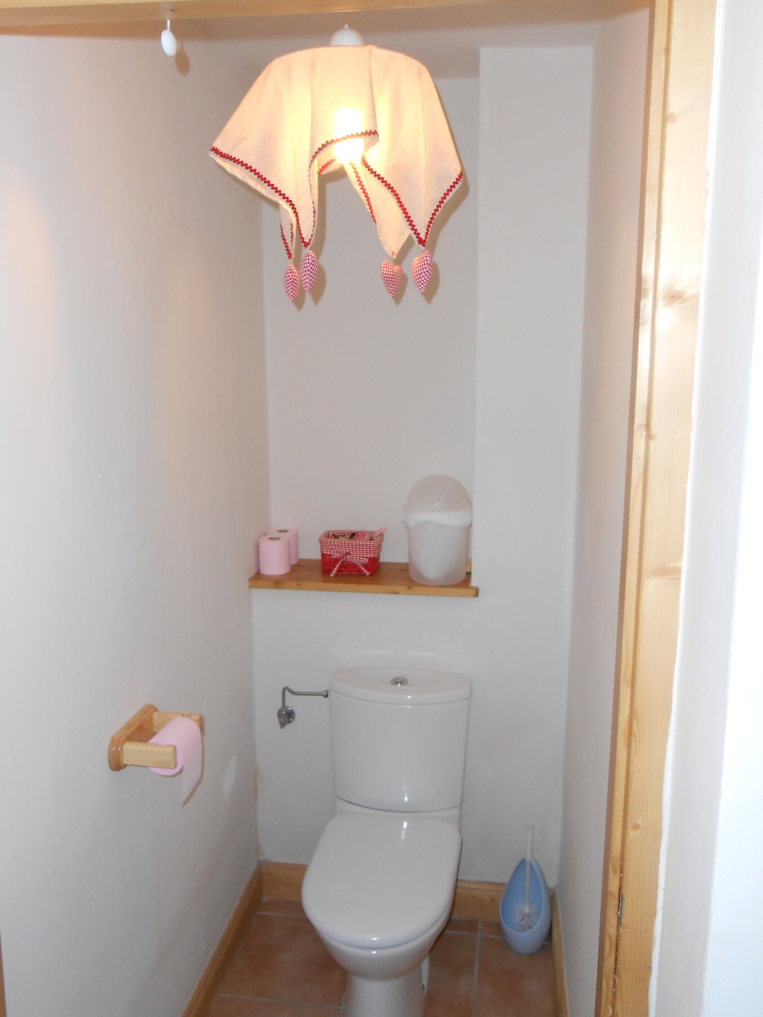 Une petite salle de bain comprenant des toilettes, une étagère avec des articles de toilette et un luminaire suspendu.