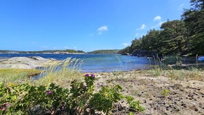 A coastal landscape with clear blue water, rocky shores, and vegetation.