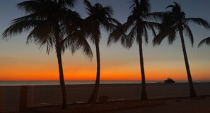 A sunset view with palm trees and a beach. - The Beach House 2 Bedroom Condo (Sarasota)