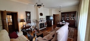 Smart TV, fireplace, books