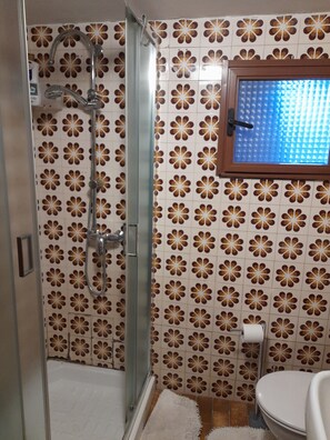 Dusche, Handtücher, Seife, Toilettenpapier