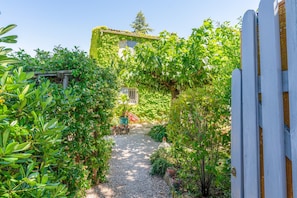 Un vialetto che conduce a una casa con recinzione bianca e vegetazione lussureggiante.