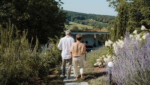 A pathway leading to a building with a view of a green landscape. - Adults Only Boutique-Hotel maison 41 (Bad Gleichenberg)