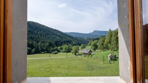 A view from a window overlooking a green field, a small house, and forested hills. - Cottage "La Ferme de l’Ours" with Mountain View, Private Terrace and Wi-Fi (Entremont-le-Vieux)