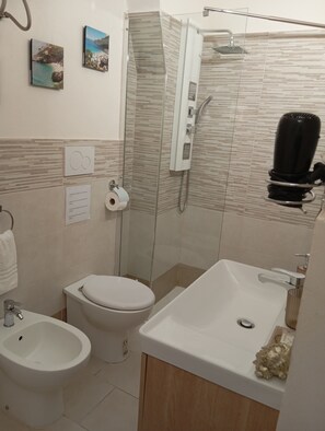 Hair dryer, towels, soap, toilet paper