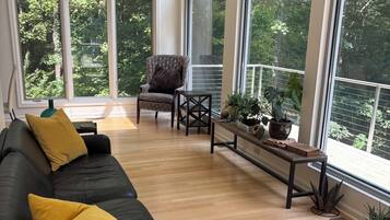 Smart TV, fireplace, books