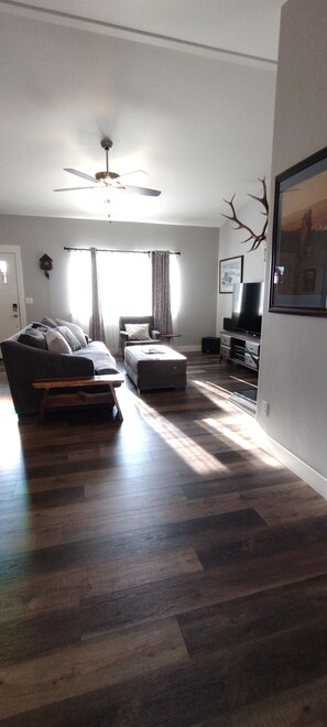 Smart TV, fireplace, DVD player, video library
