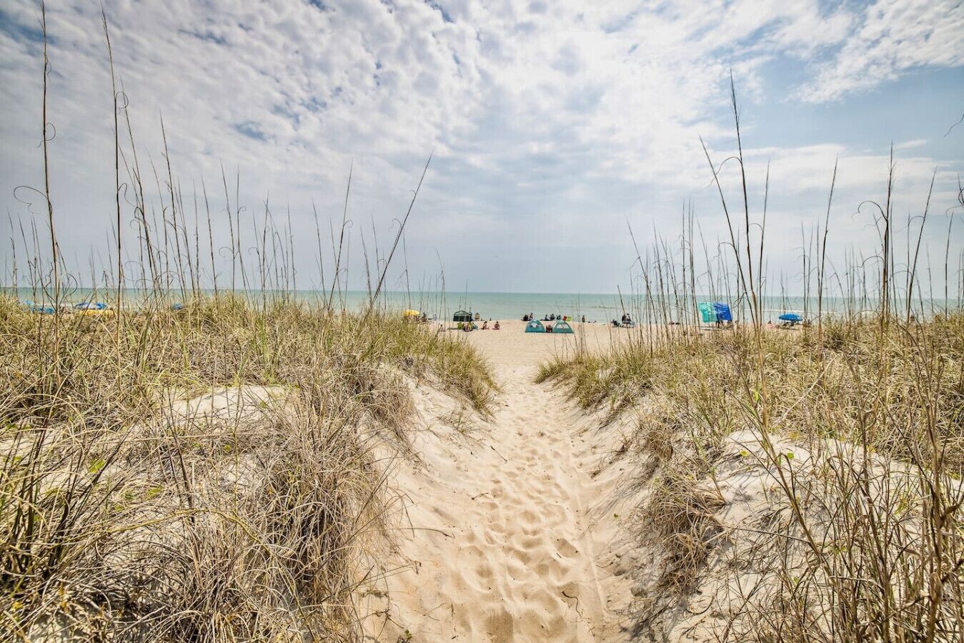 Playa en los alrededores 