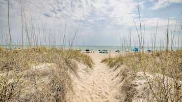 Playa en los alrededores