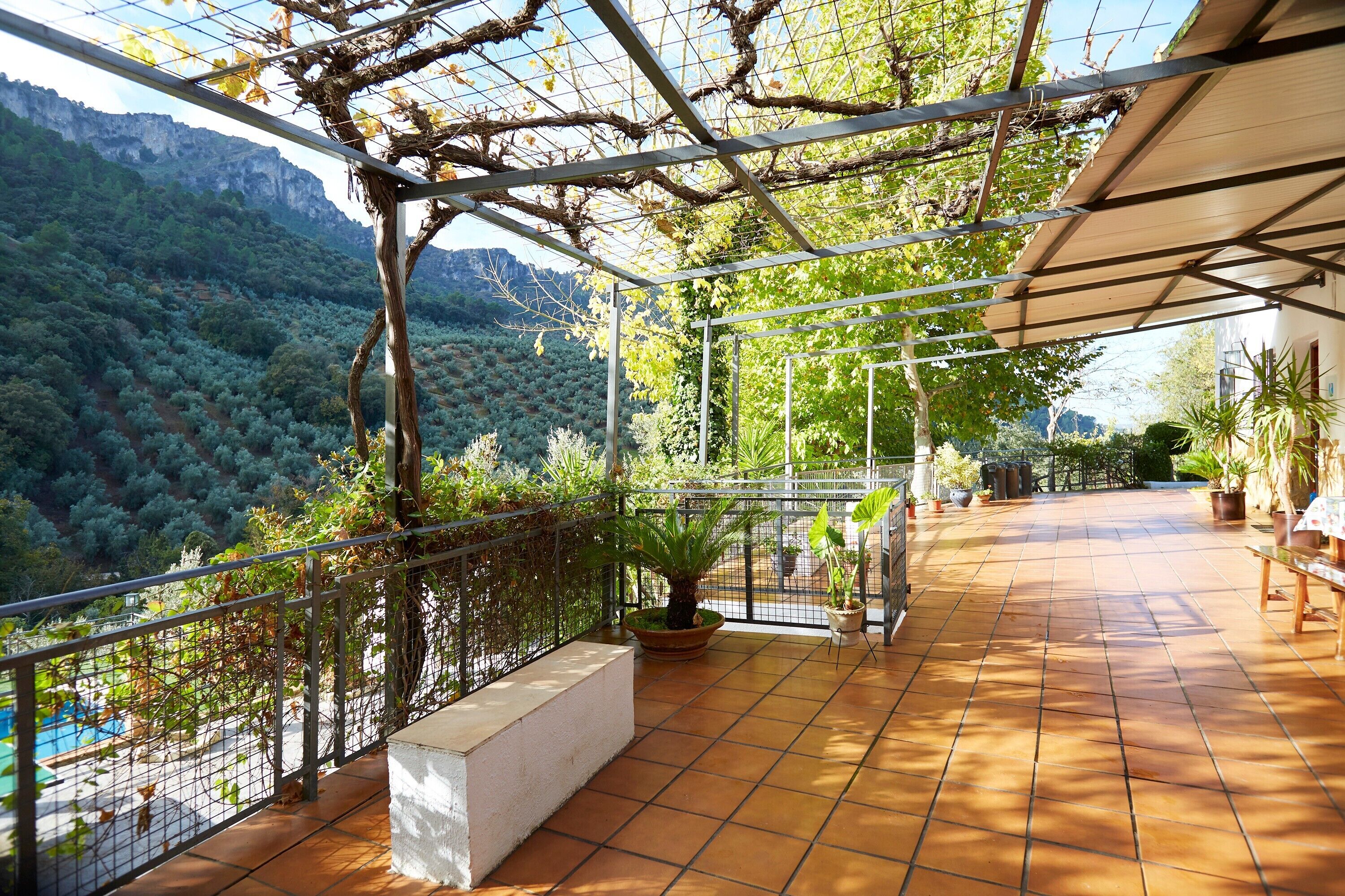 Terras