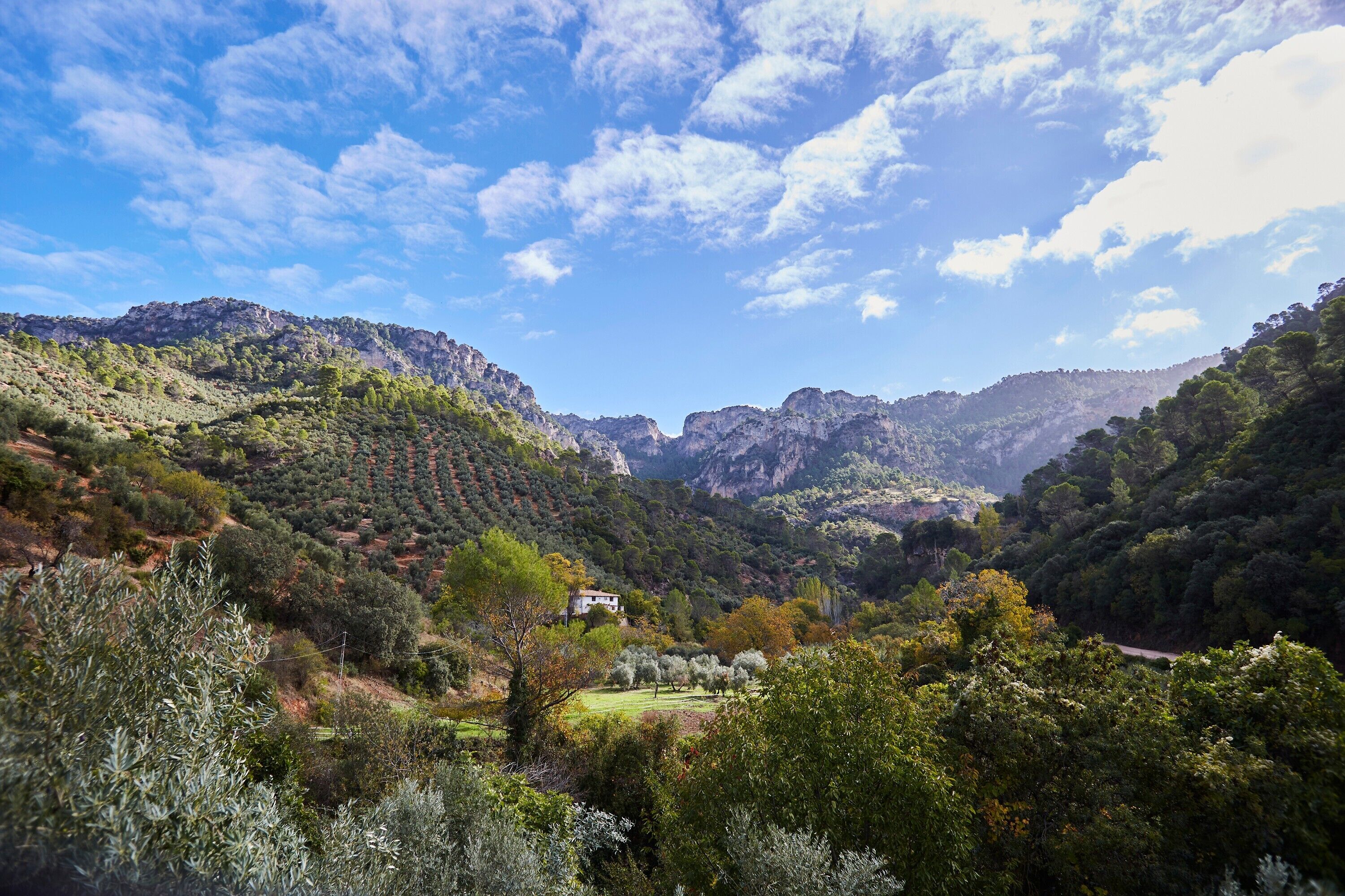 Paisaje montañoso con una casa rodeada de árboles y vegetación.