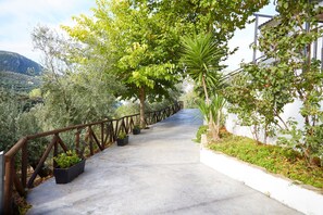 Terrain de l’hébergement 