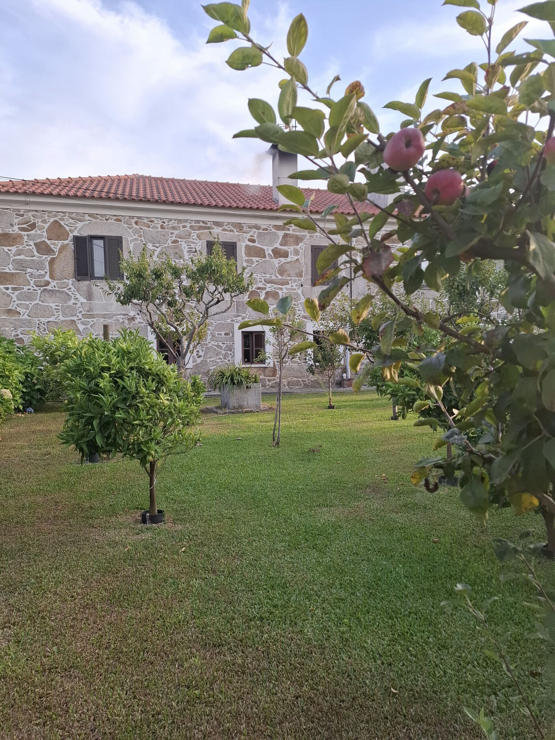 Apartment | 2 Schlafzimmer